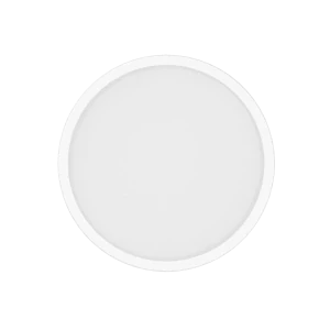 Xiaomi Smart Ceiling Light D20