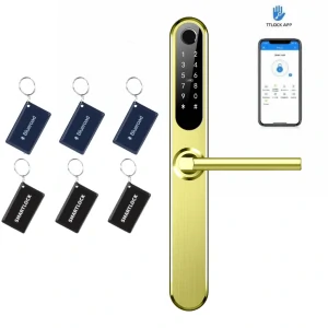 Inteligentná kľučka TTLock H1 zlatá