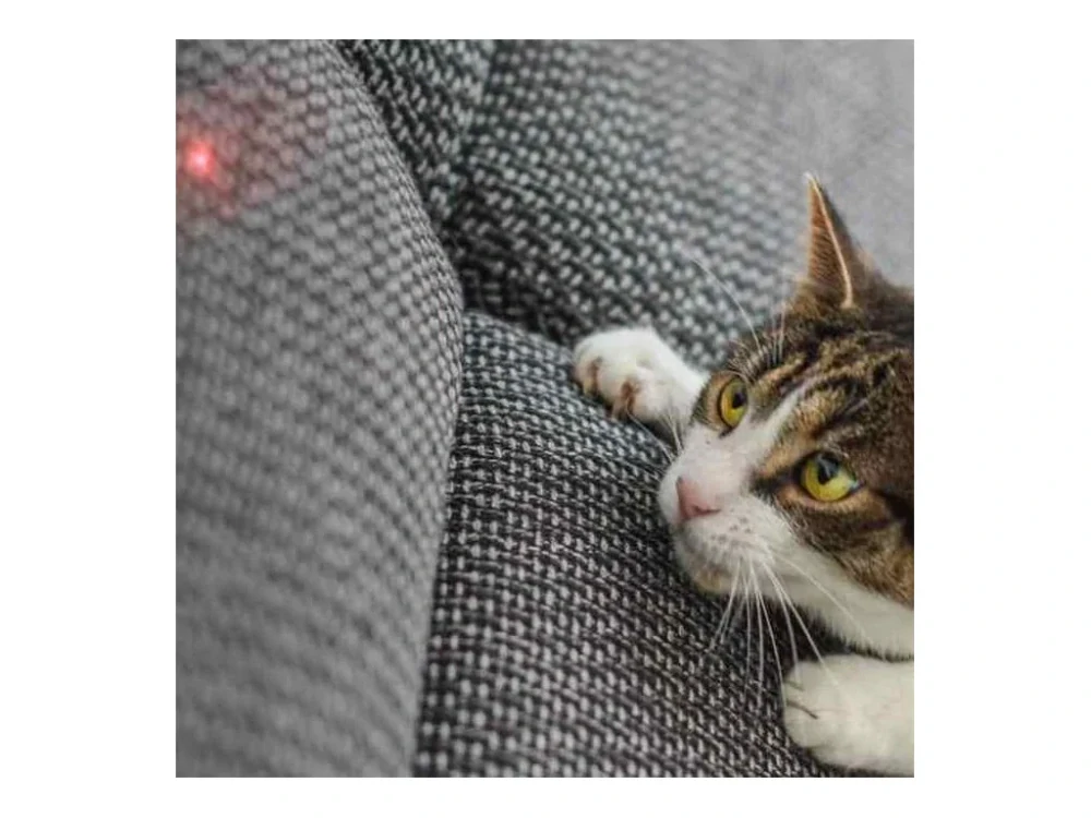 ANTIK Smart laserová hračka pre mačky